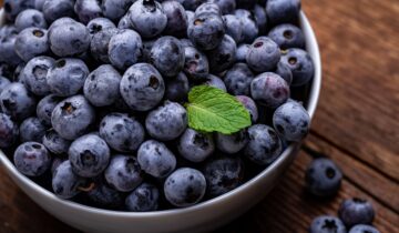 Dried Blueberries: The Sweetest Dry Fruit Packed with Power